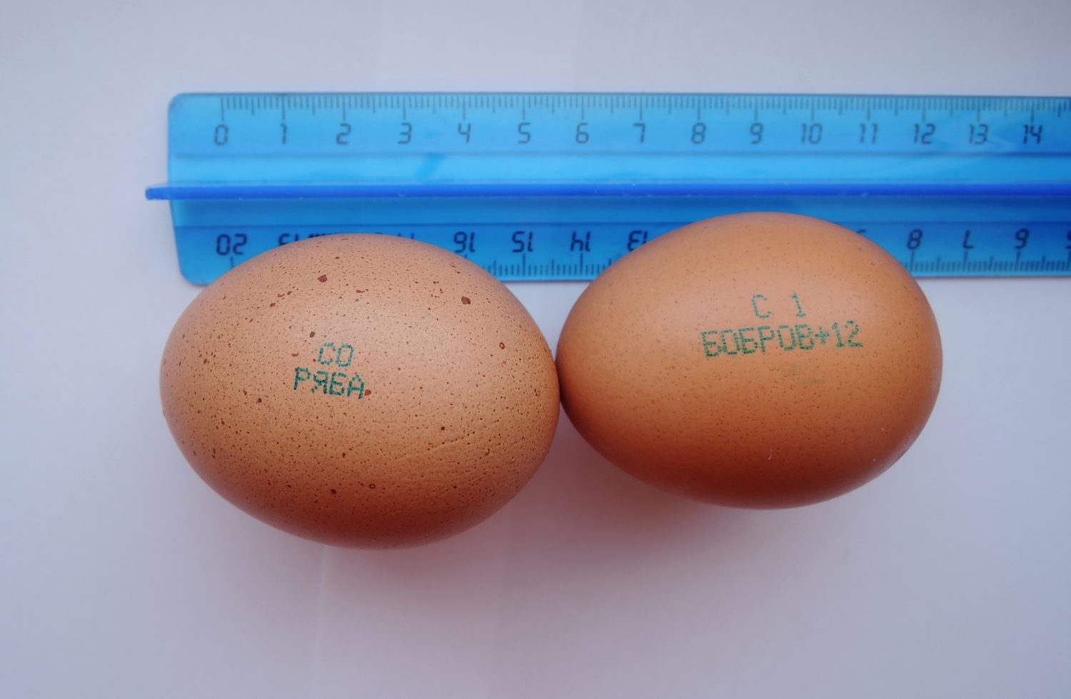 С0 с1 с2 на яйцах. Hub1007011 маркировка инкубационного яйца. Куриные яйца с маркировкой с2. Маркировка куриных яиц обозначения. Маркировка на яйцах с1.