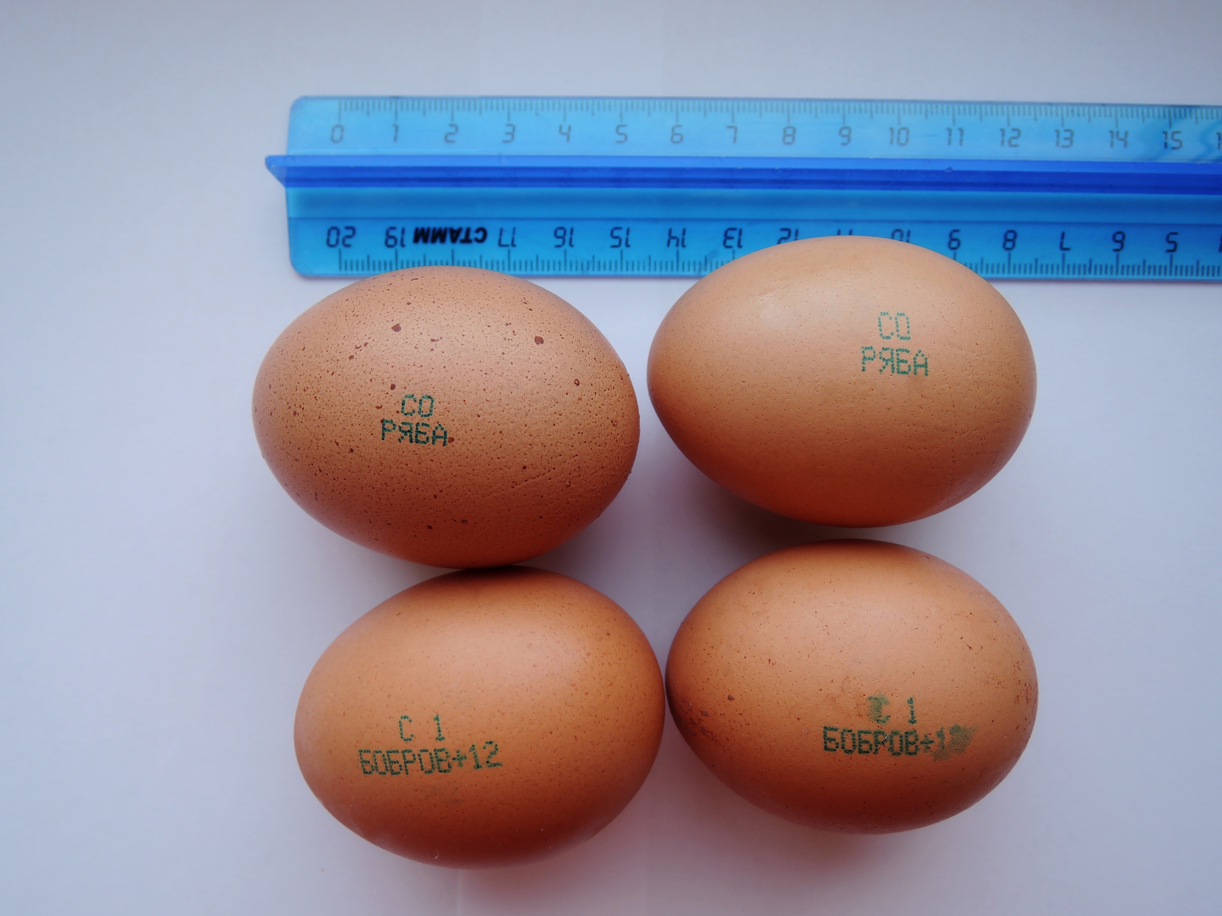 Яйца с2 лучше с0. C0 c1 c2 яйца. Яйца с0 с1 с2. Яйца св с0 с1. Размер яиц куриных с1 с2 с0.